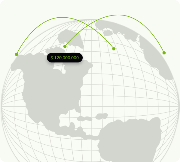 section image